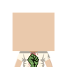 luchipro