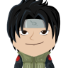 saielninja