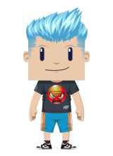 serviser