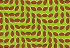 50 Optical Illusions