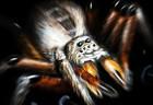 Arachnid Wars
