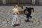 Karate King
