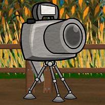 Cam the Camera