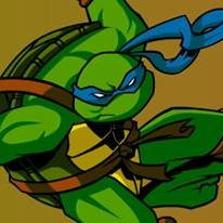 Turtles Ninja Sewer Surf