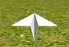 Insane Paper Plane