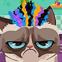 Angry Cat Hair Salon