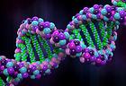 DNA Lab Rush