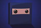 Super Ninja Block