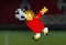 A Small World Cup