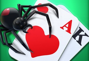 Play Spider Solitaire (Two-Suit) Card Game Online  Card games, Online card  games, Family card games