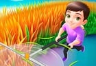 Grass Land