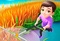 Grass Land