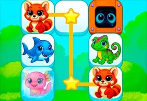 Dream Pet Hotel