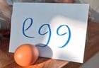 Egg