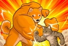 Fight of Animals