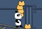 Panda Balance